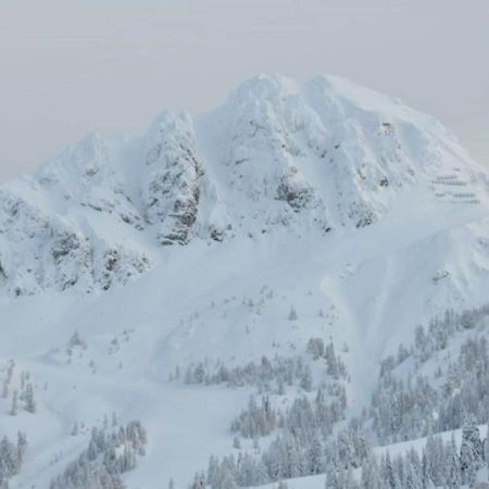 Chalet In Nassfeld Ski Area In Carinthia ゾンネンアルペ・ナスフェルト エクステリア 写真