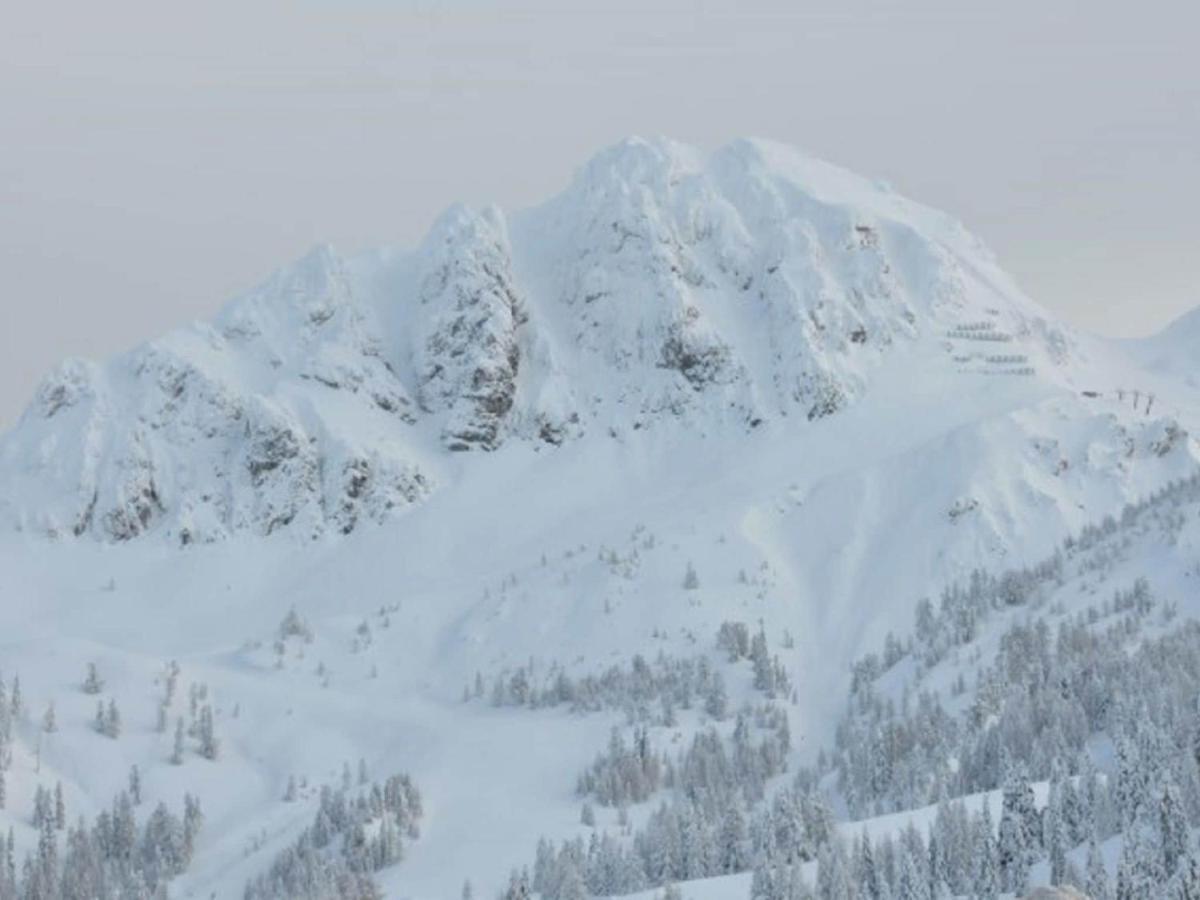 Chalet In Nassfeld Ski Area In Carinthia ゾンネンアルペ・ナスフェルト エクステリア 写真
