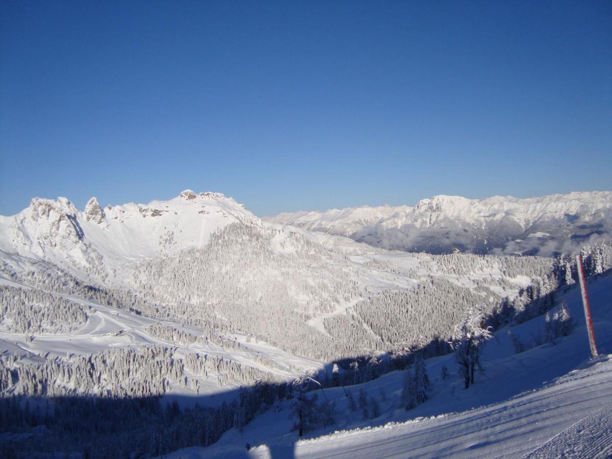 Chalet In Nassfeld Ski Area In Carinthia ゾンネンアルペ・ナスフェルト エクステリア 写真