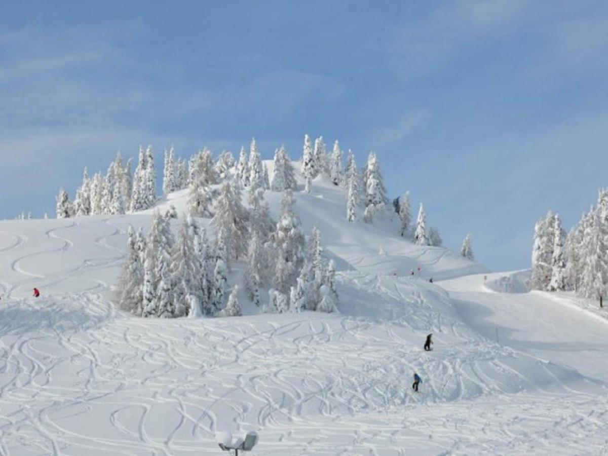 Chalet In Nassfeld Ski Area In Carinthia ゾンネンアルペ・ナスフェルト エクステリア 写真