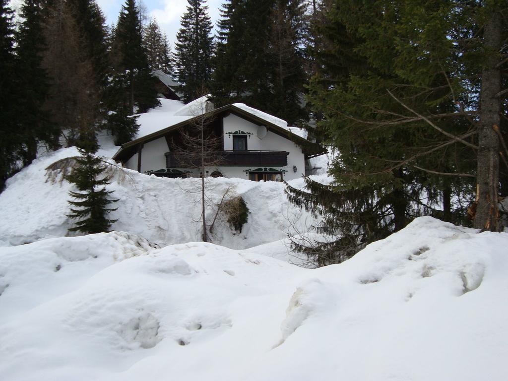 Chalet In Nassfeld Ski Area In Carinthia ゾンネンアルペ・ナスフェルト エクステリア 写真